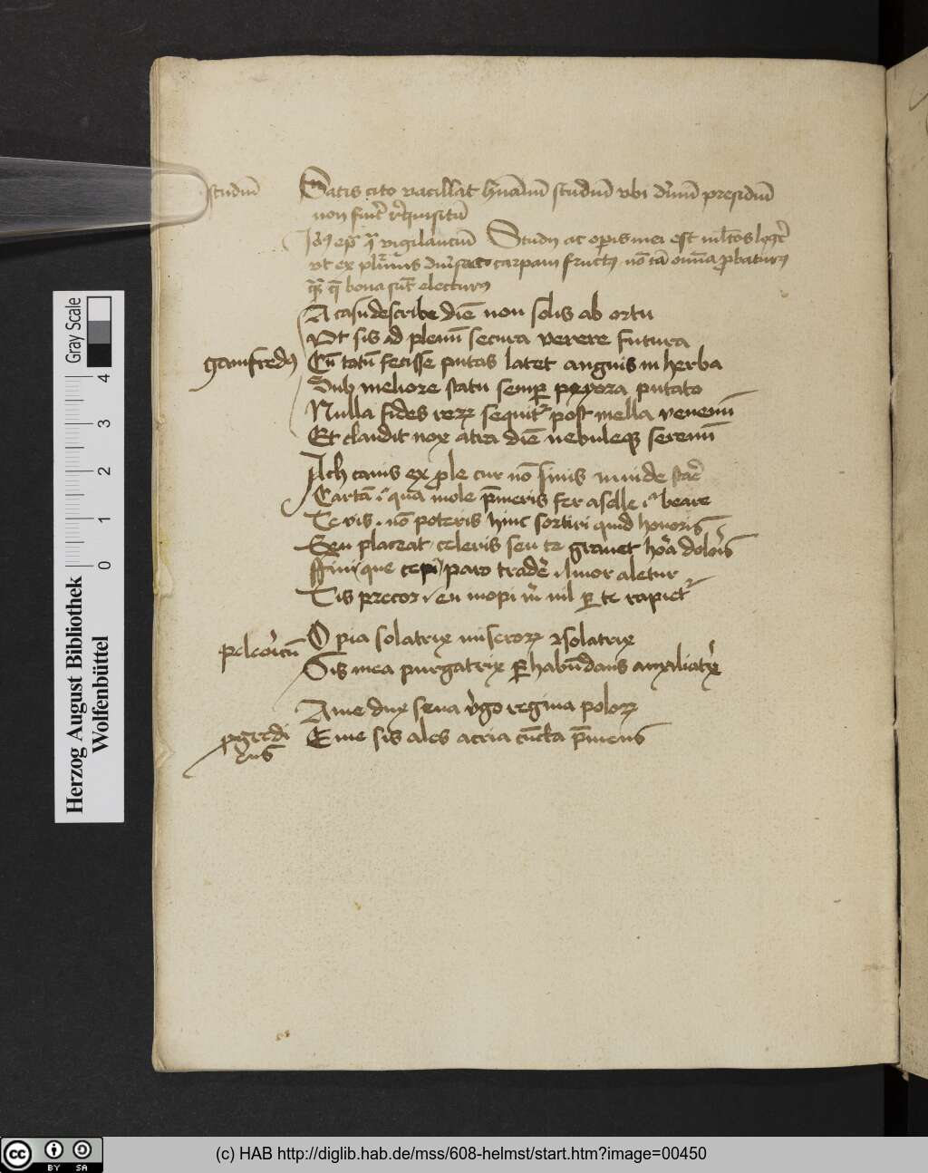 http://diglib.hab.de/mss/608-helmst/00450.jpg