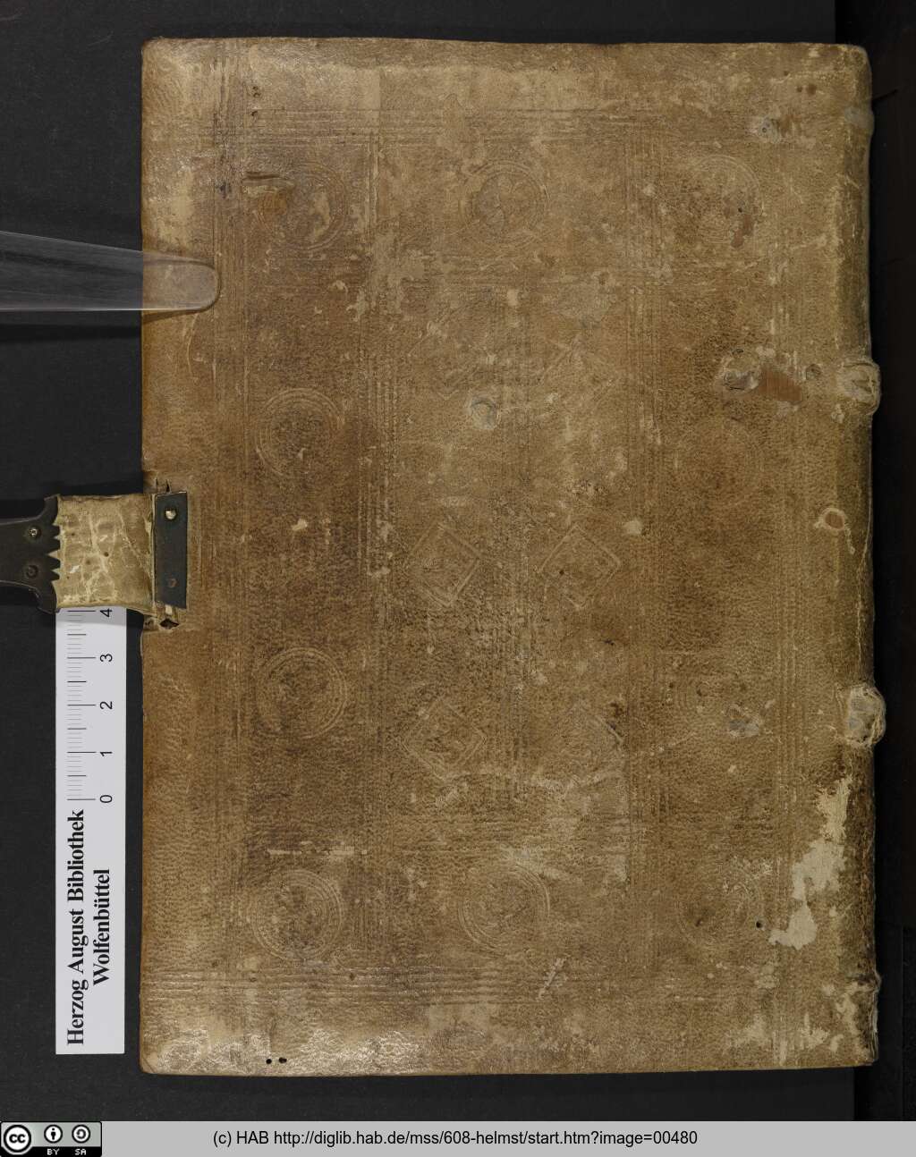 http://diglib.hab.de/mss/608-helmst/00480.jpg