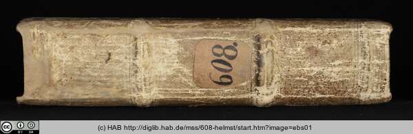 http://diglib.hab.de/mss/608-helmst/min/ebs01.jpg