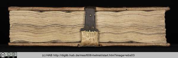 http://diglib.hab.de/mss/608-helmst/min/ebs03.jpg