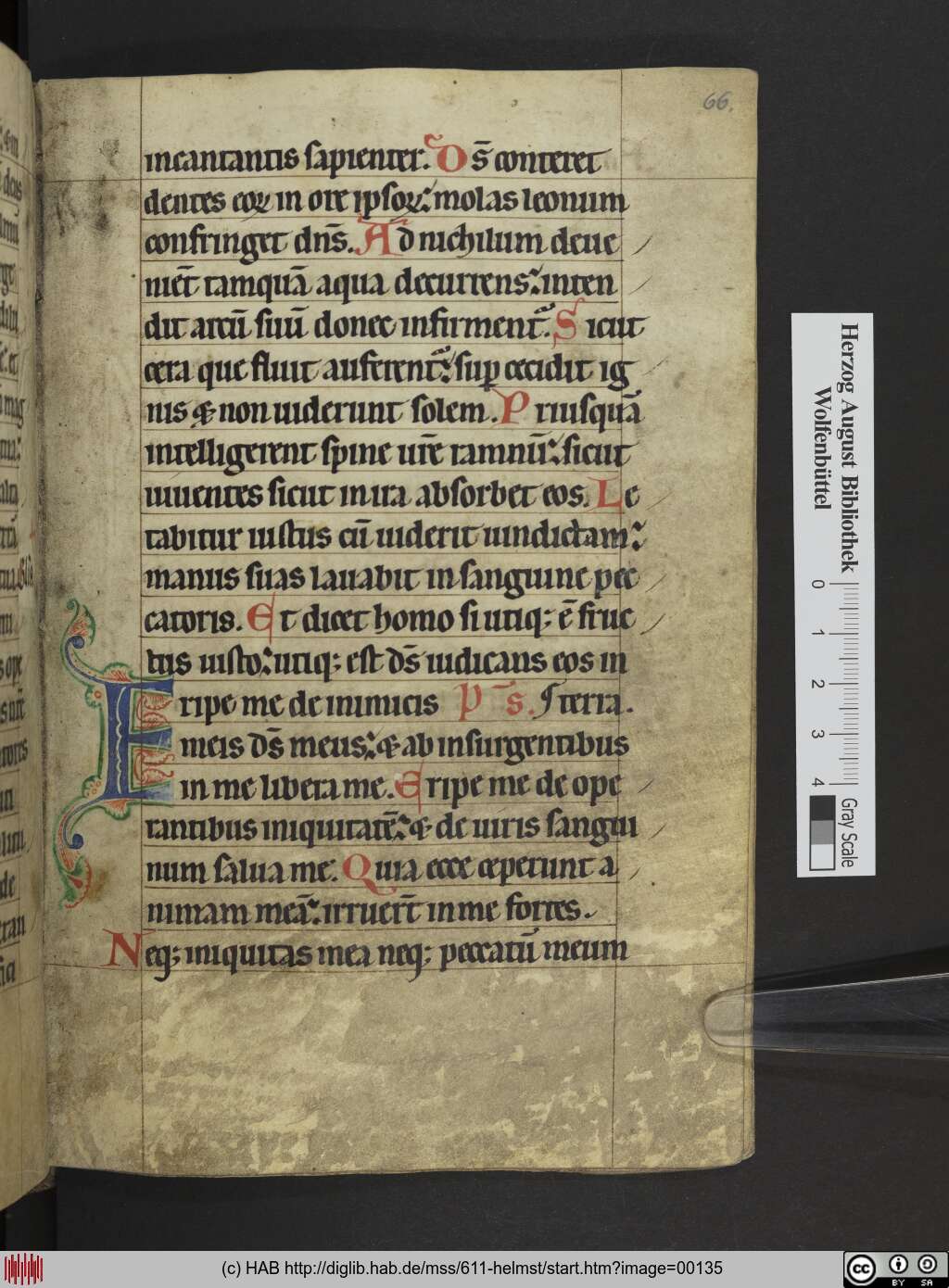 http://diglib.hab.de/mss/611-helmst/00135.jpg