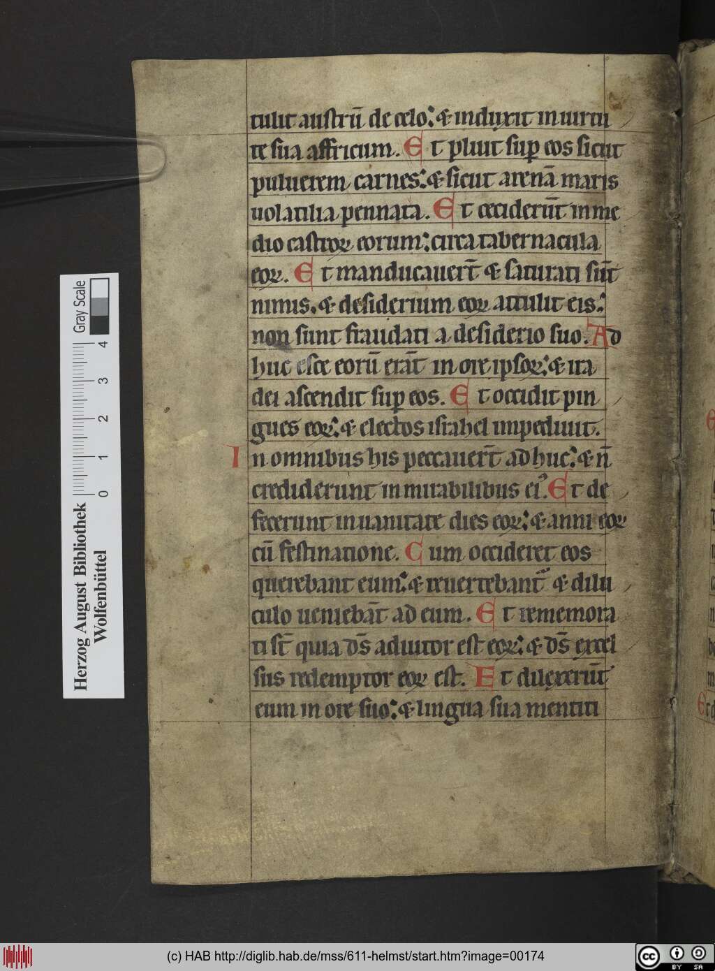 http://diglib.hab.de/mss/611-helmst/00174.jpg