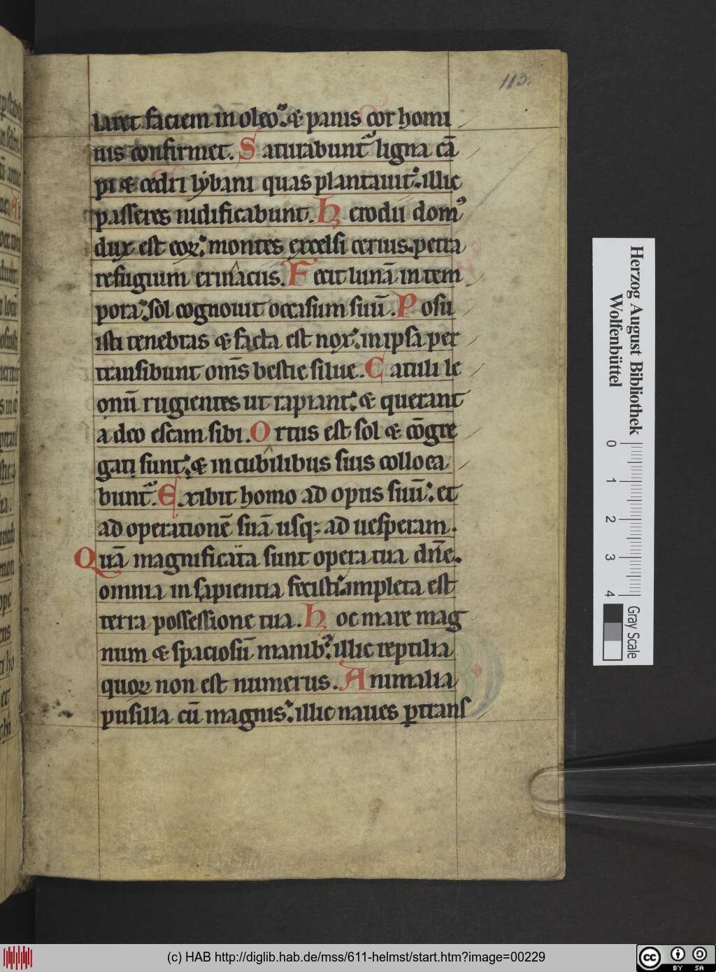 http://diglib.hab.de/mss/611-helmst/00229.jpg
