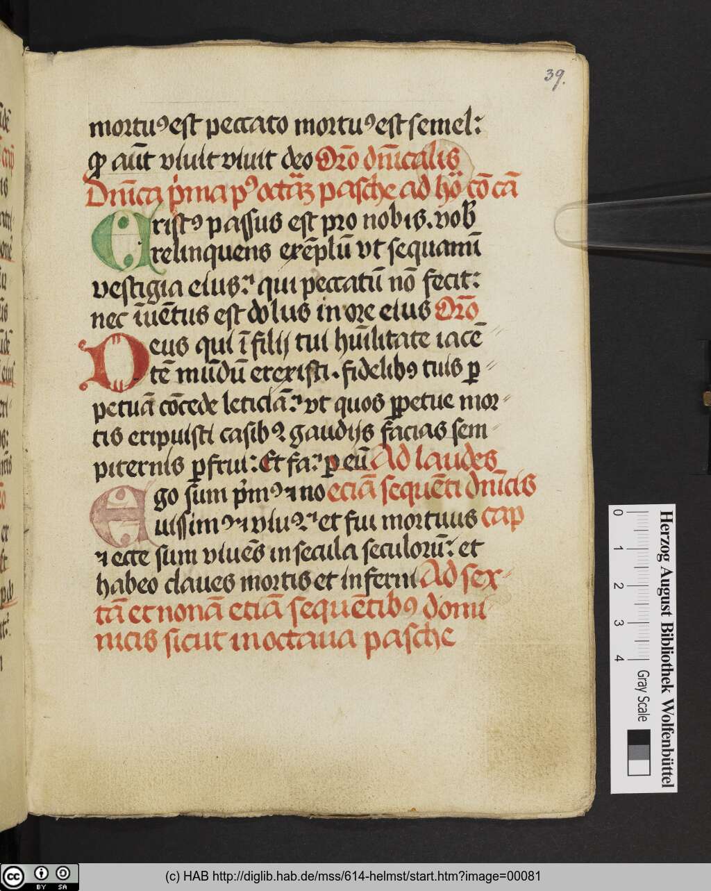 http://diglib.hab.de/mss/614-helmst/00081.jpg