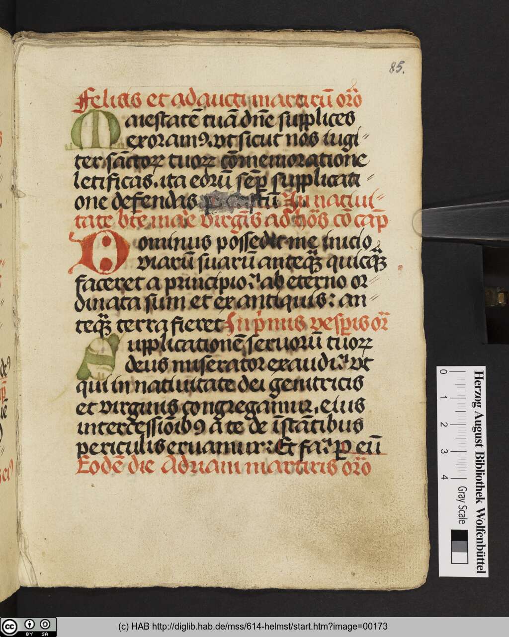 http://diglib.hab.de/mss/614-helmst/00173.jpg
