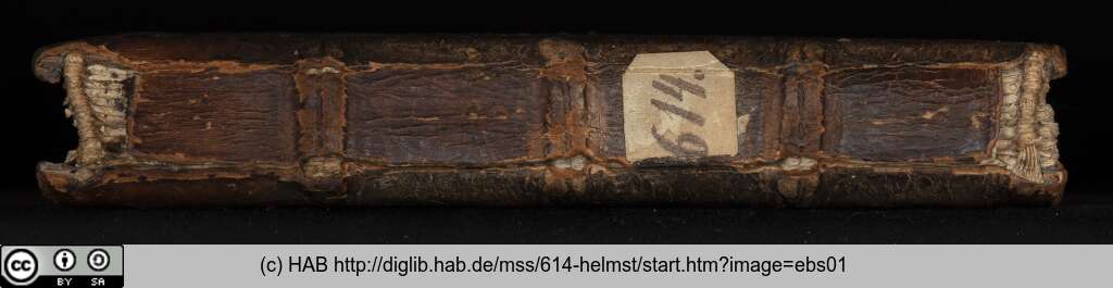 http://diglib.hab.de/mss/614-helmst/ebs01.jpg