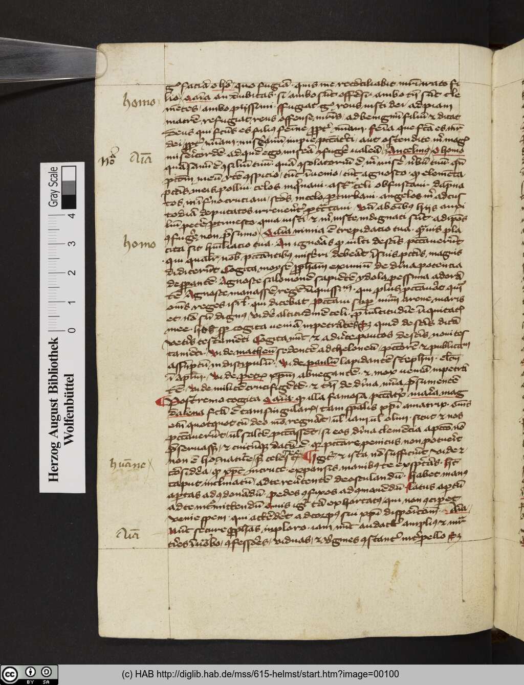 http://diglib.hab.de/mss/615-helmst/00100.jpg