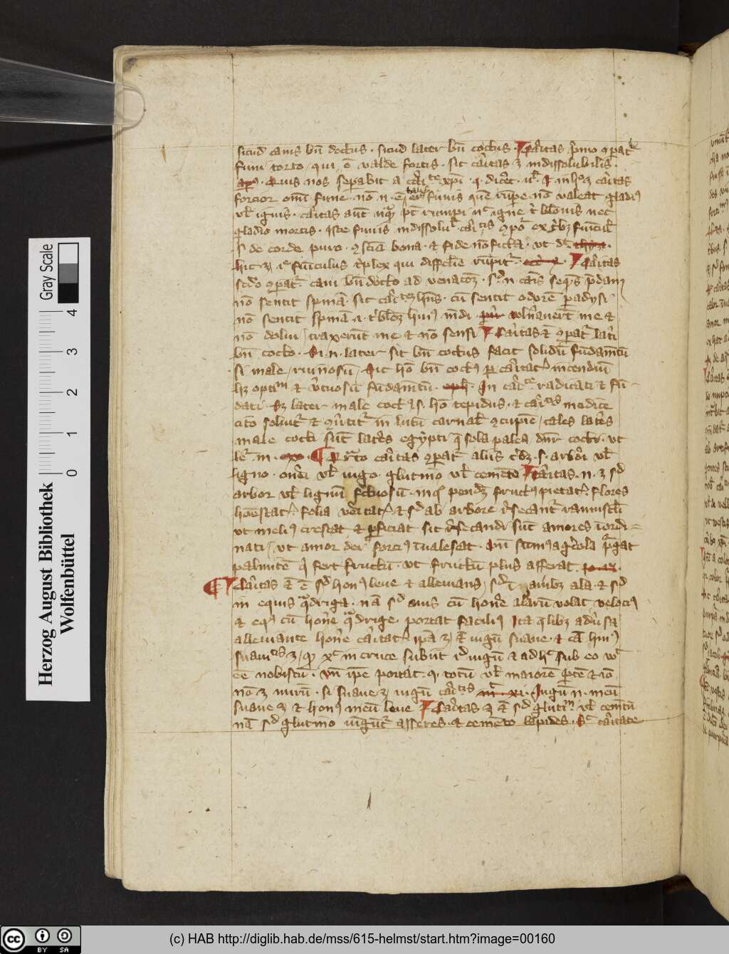http://diglib.hab.de/mss/615-helmst/00160.jpg