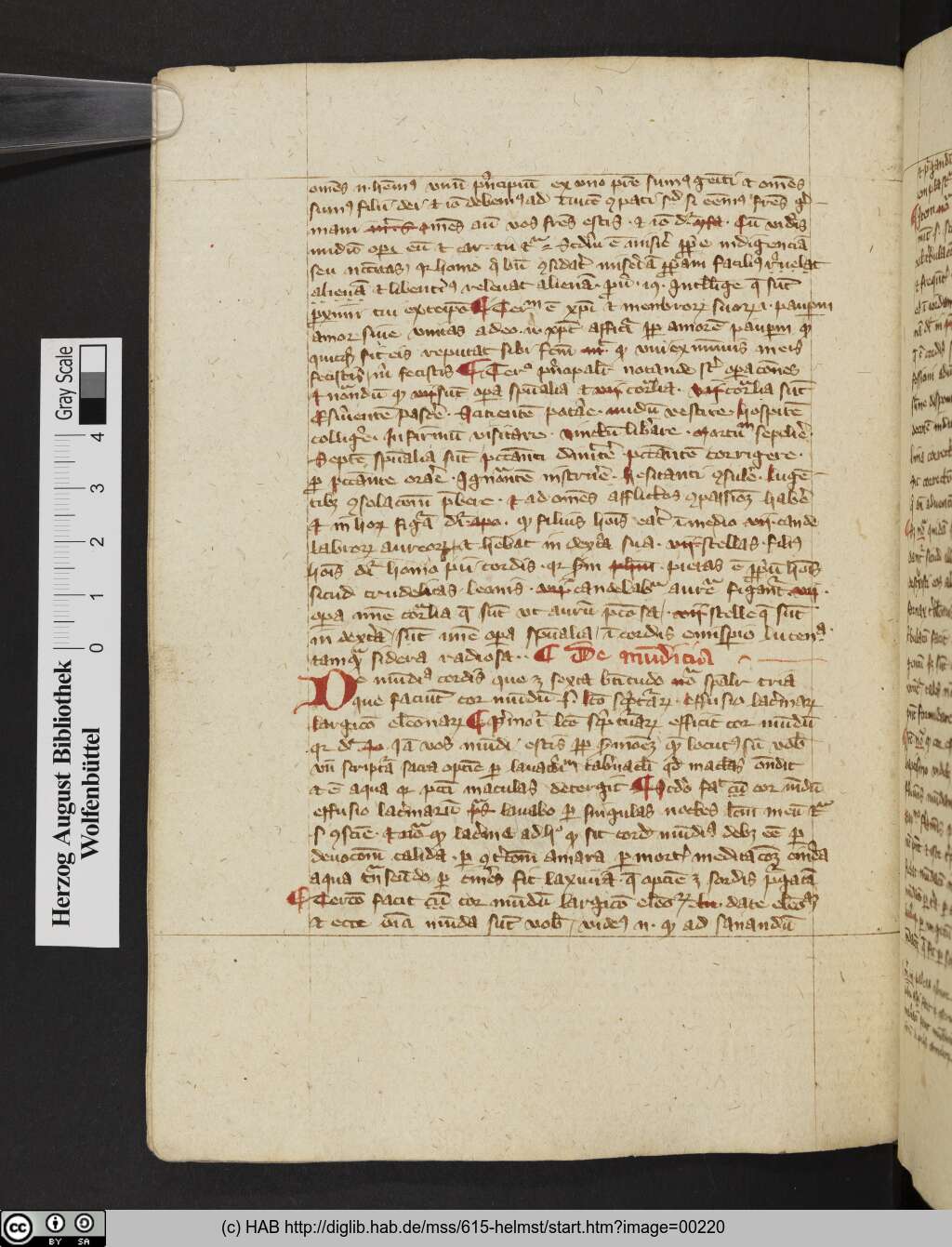 http://diglib.hab.de/mss/615-helmst/00220.jpg