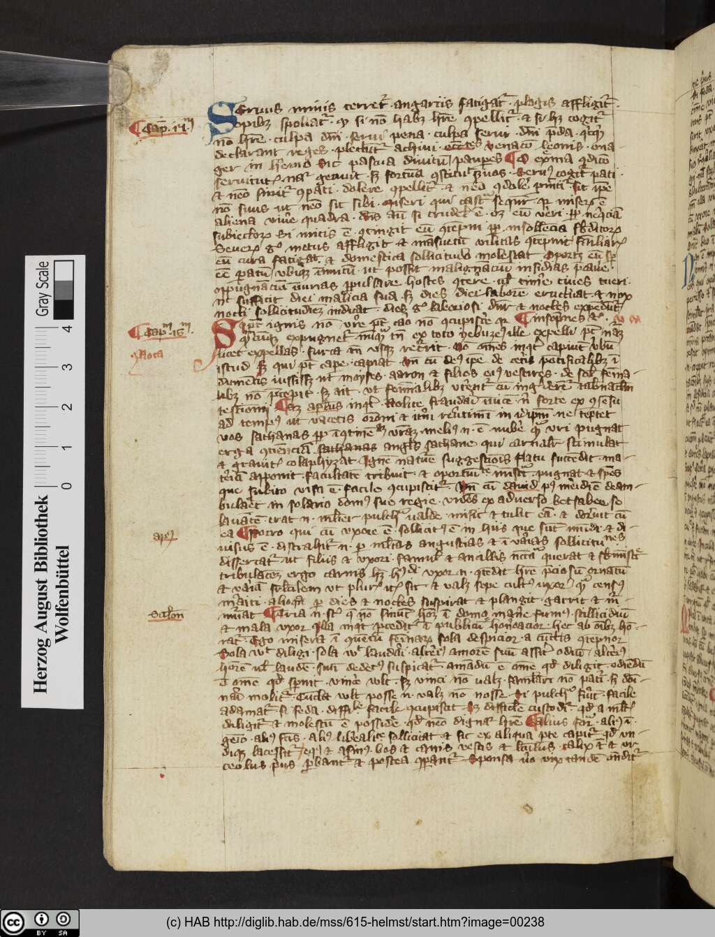 http://diglib.hab.de/mss/615-helmst/00238.jpg