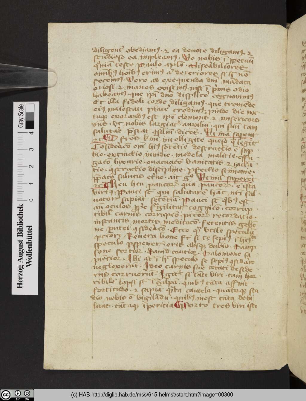 http://diglib.hab.de/mss/615-helmst/00300.jpg