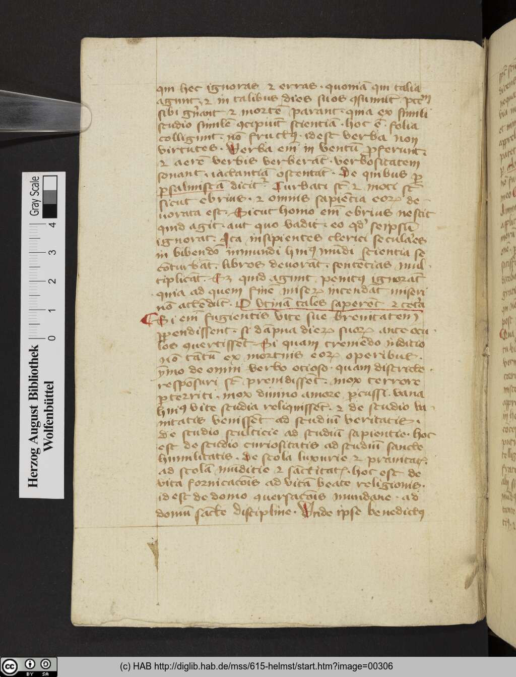 http://diglib.hab.de/mss/615-helmst/00306.jpg