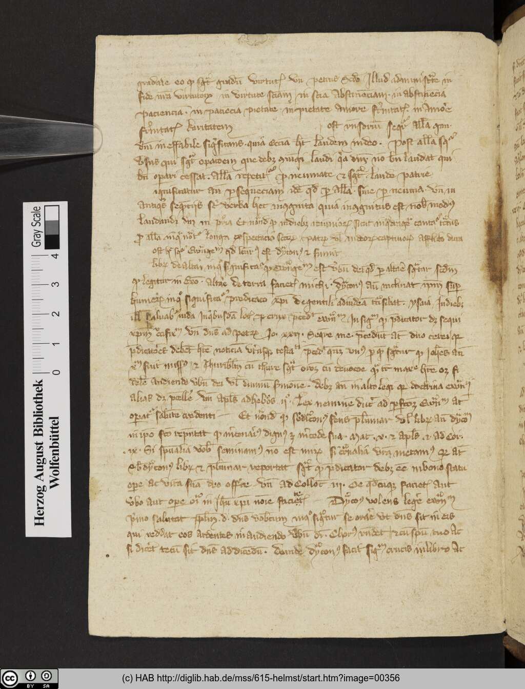 http://diglib.hab.de/mss/615-helmst/00356.jpg