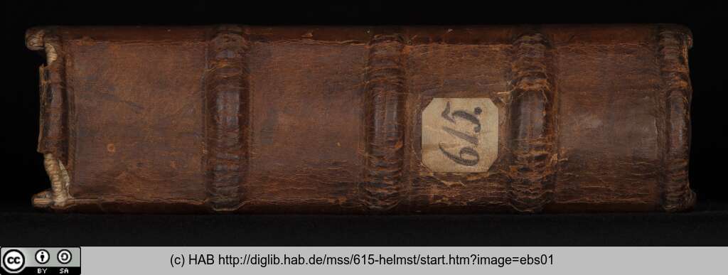 http://diglib.hab.de/mss/615-helmst/ebs01.jpg