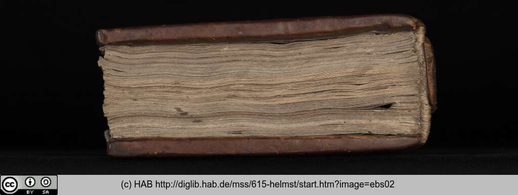 http://diglib.hab.de/mss/615-helmst/ebs02.jpg