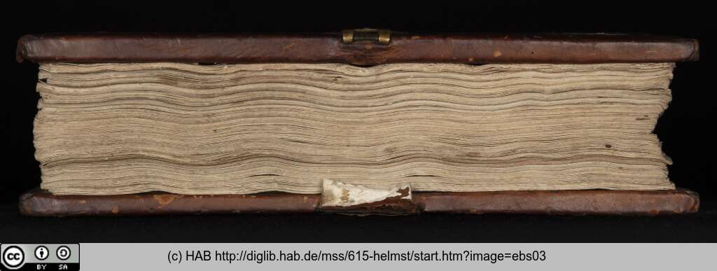 http://diglib.hab.de/mss/615-helmst/ebs03.jpg