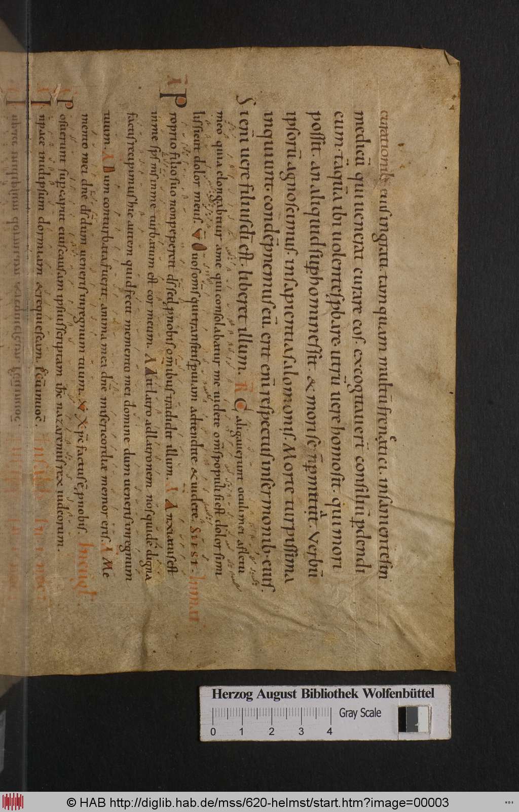 http://diglib.hab.de/mss/620-helmst/00003.jpg