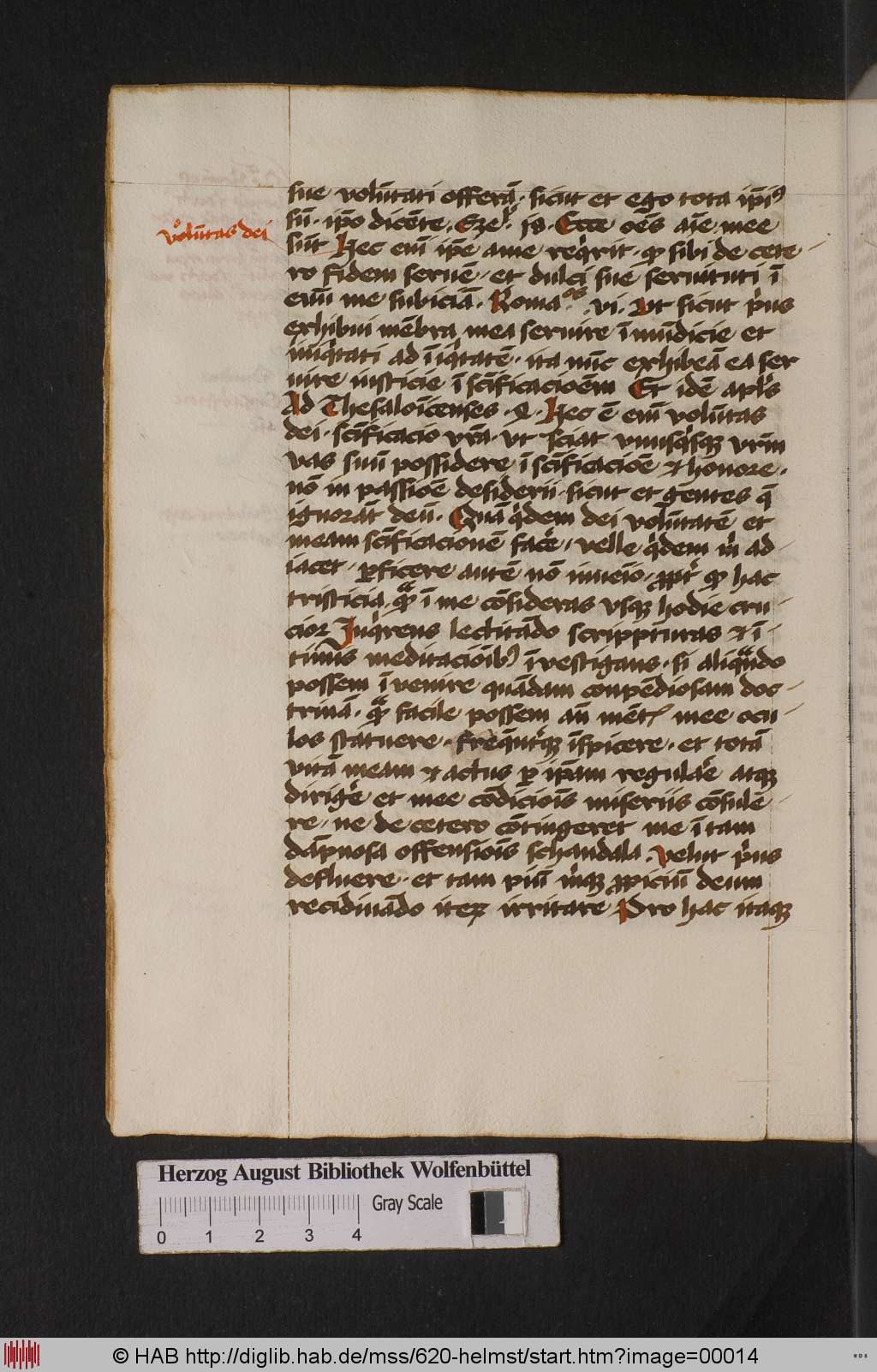 http://diglib.hab.de/mss/620-helmst/00014.jpg