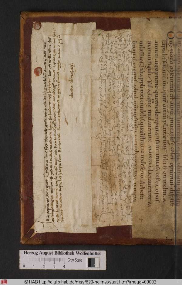 http://diglib.hab.de/mss/620-helmst/min/00002.jpg