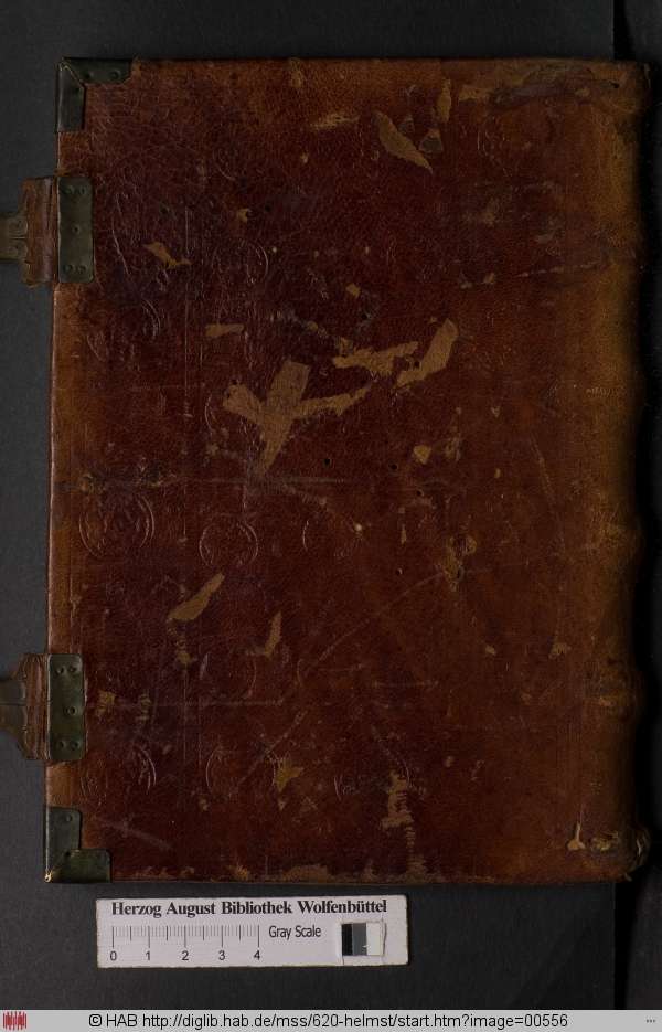 http://diglib.hab.de/mss/620-helmst/min/00556.jpg