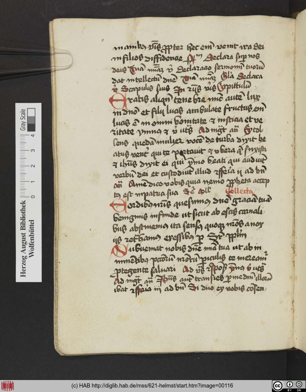 http://diglib.hab.de/mss/621-helmst/00116.jpg