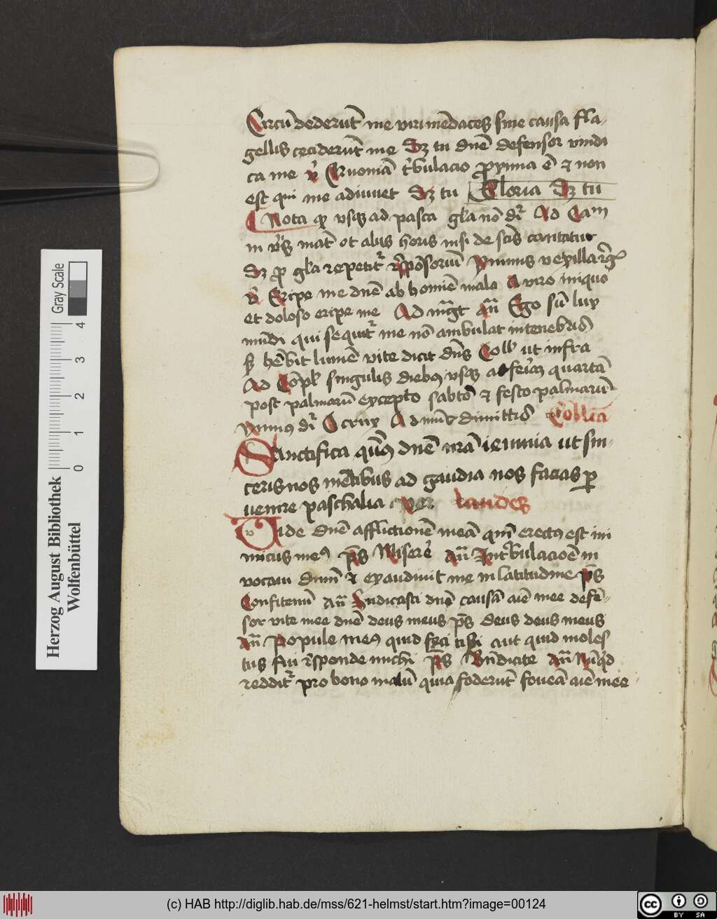 http://diglib.hab.de/mss/621-helmst/00124.jpg