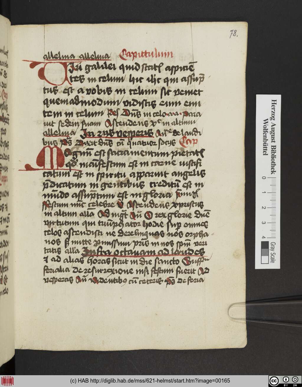 http://diglib.hab.de/mss/621-helmst/00165.jpg