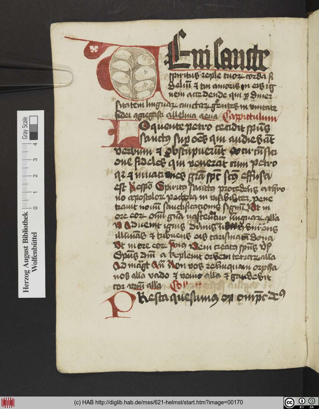 http://diglib.hab.de/mss/621-helmst/00170.jpg