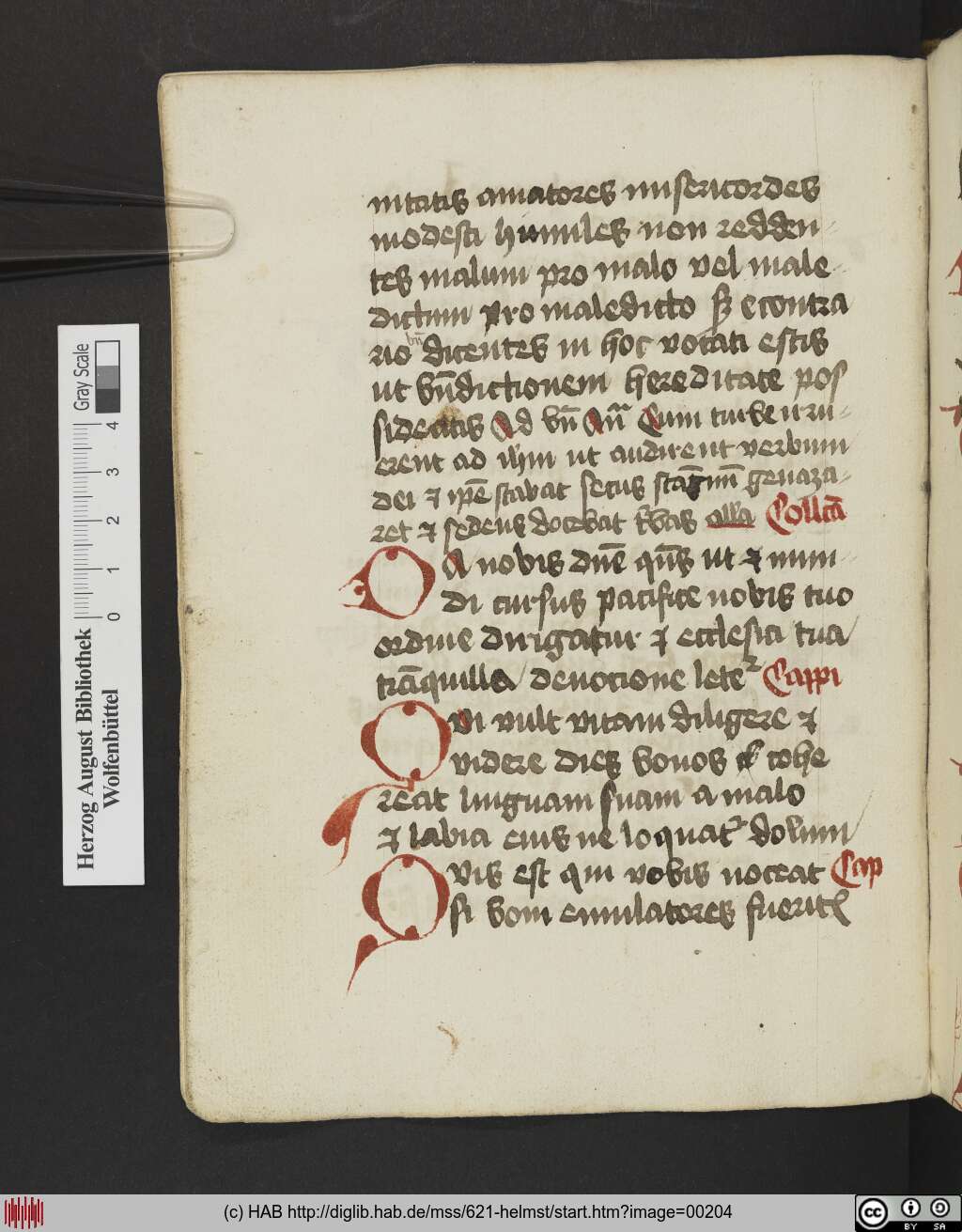 http://diglib.hab.de/mss/621-helmst/00204.jpg