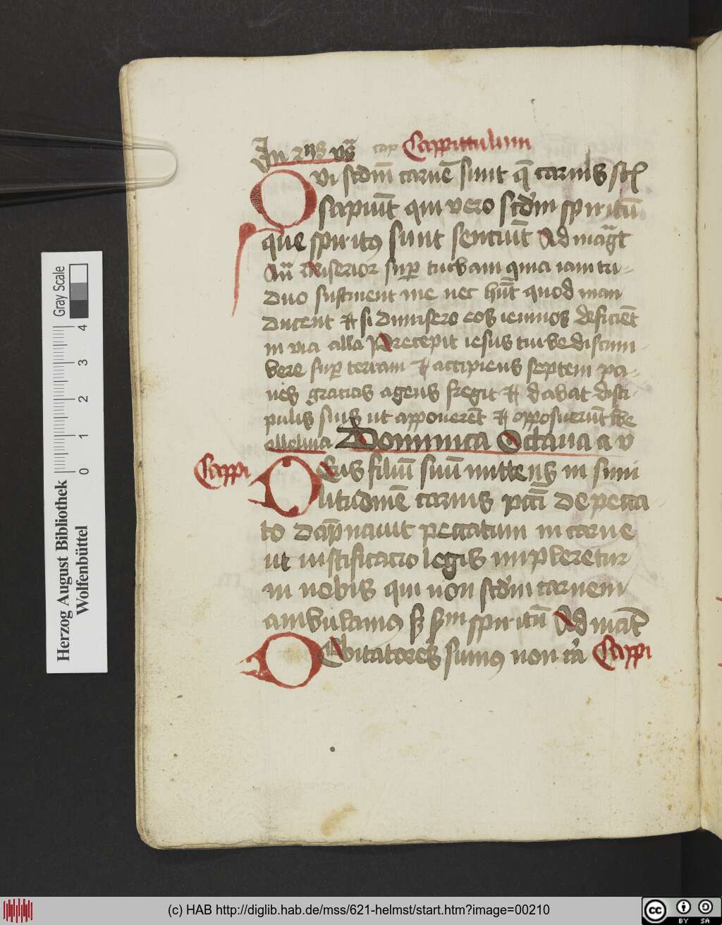 http://diglib.hab.de/mss/621-helmst/00210.jpg