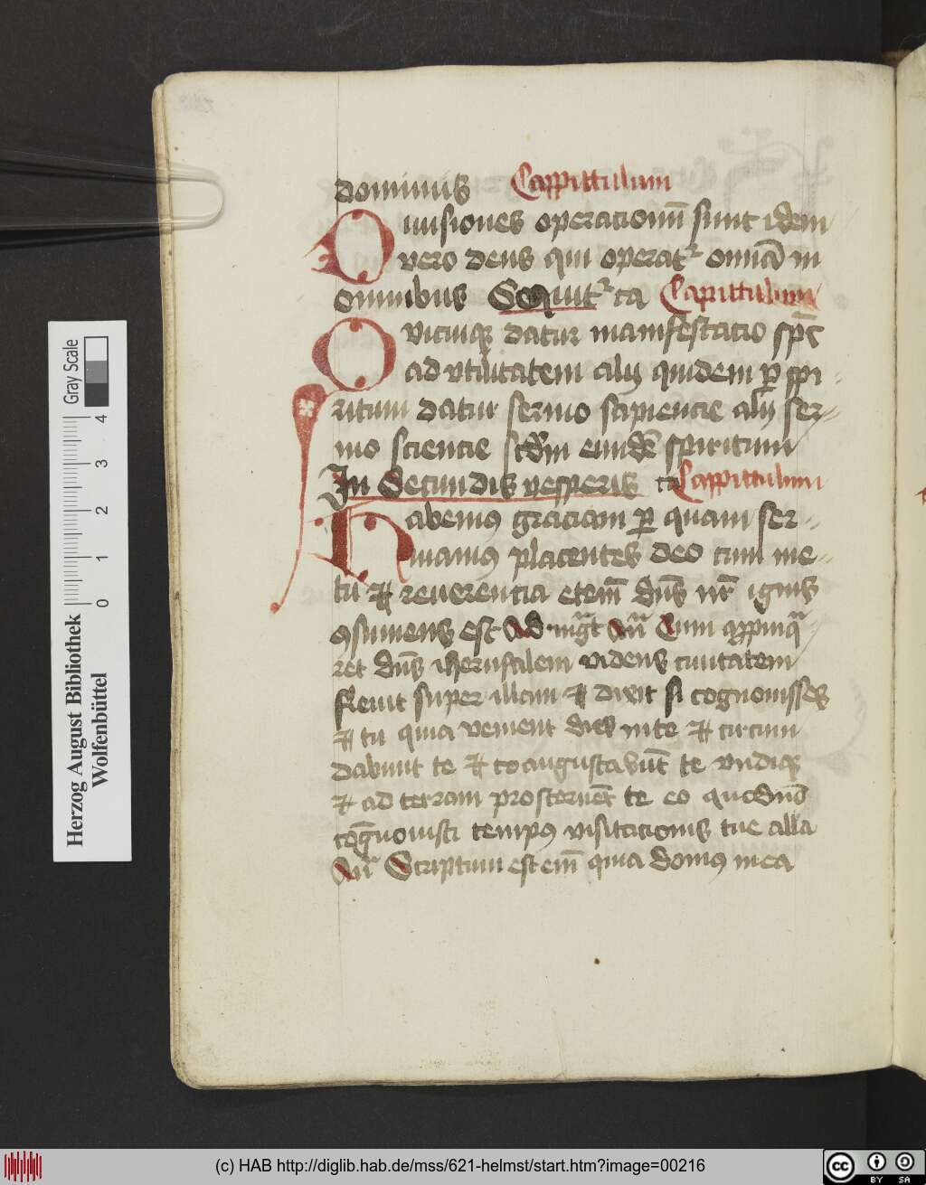http://diglib.hab.de/mss/621-helmst/00216.jpg