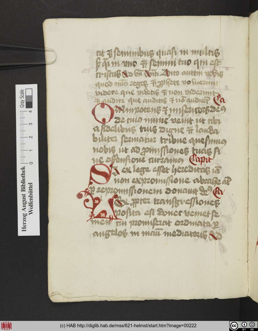 http://diglib.hab.de/mss/621-helmst/00222.jpg