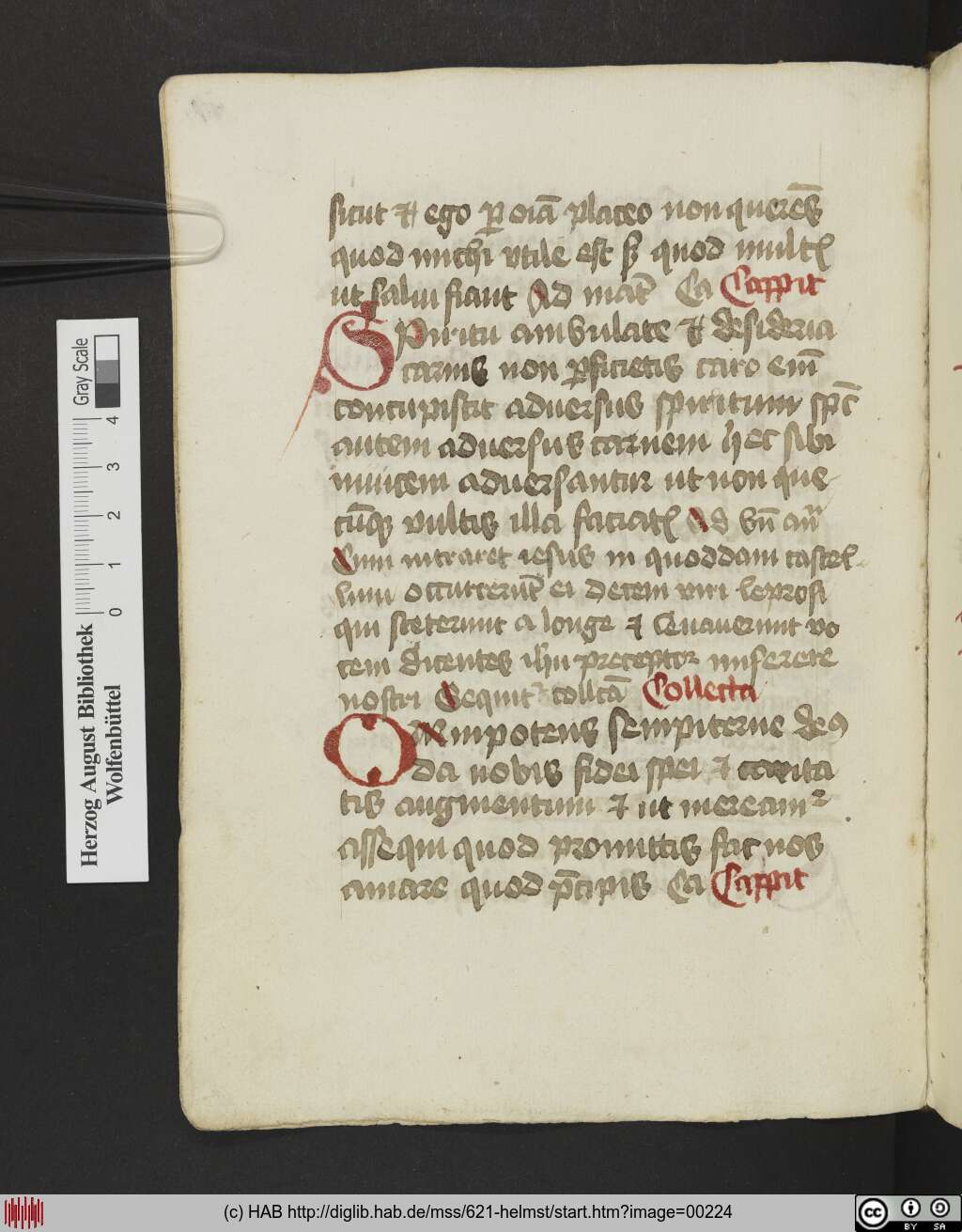 http://diglib.hab.de/mss/621-helmst/00224.jpg