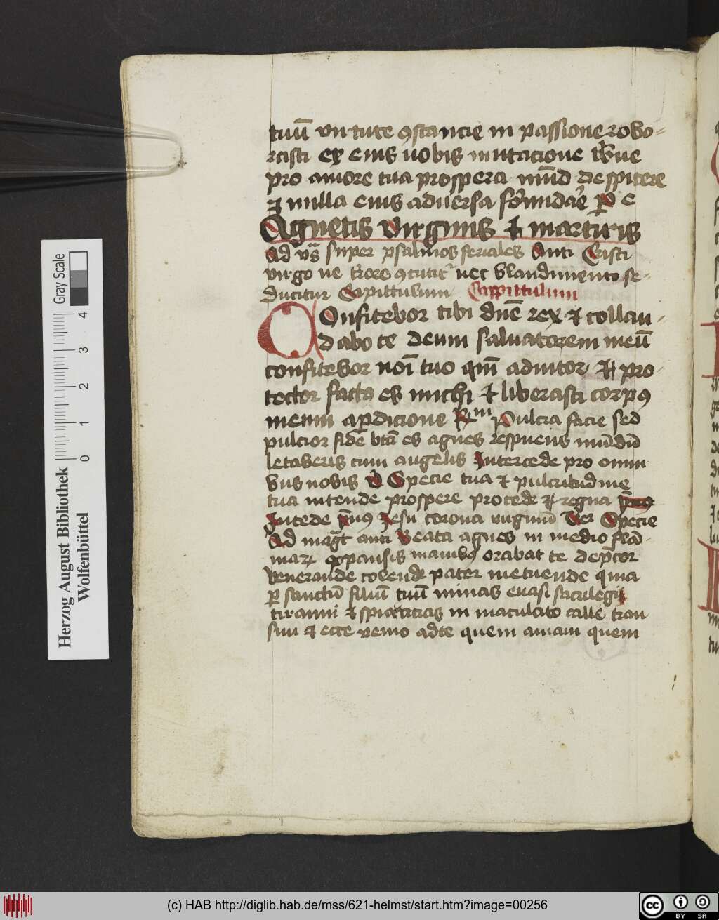 http://diglib.hab.de/mss/621-helmst/00256.jpg