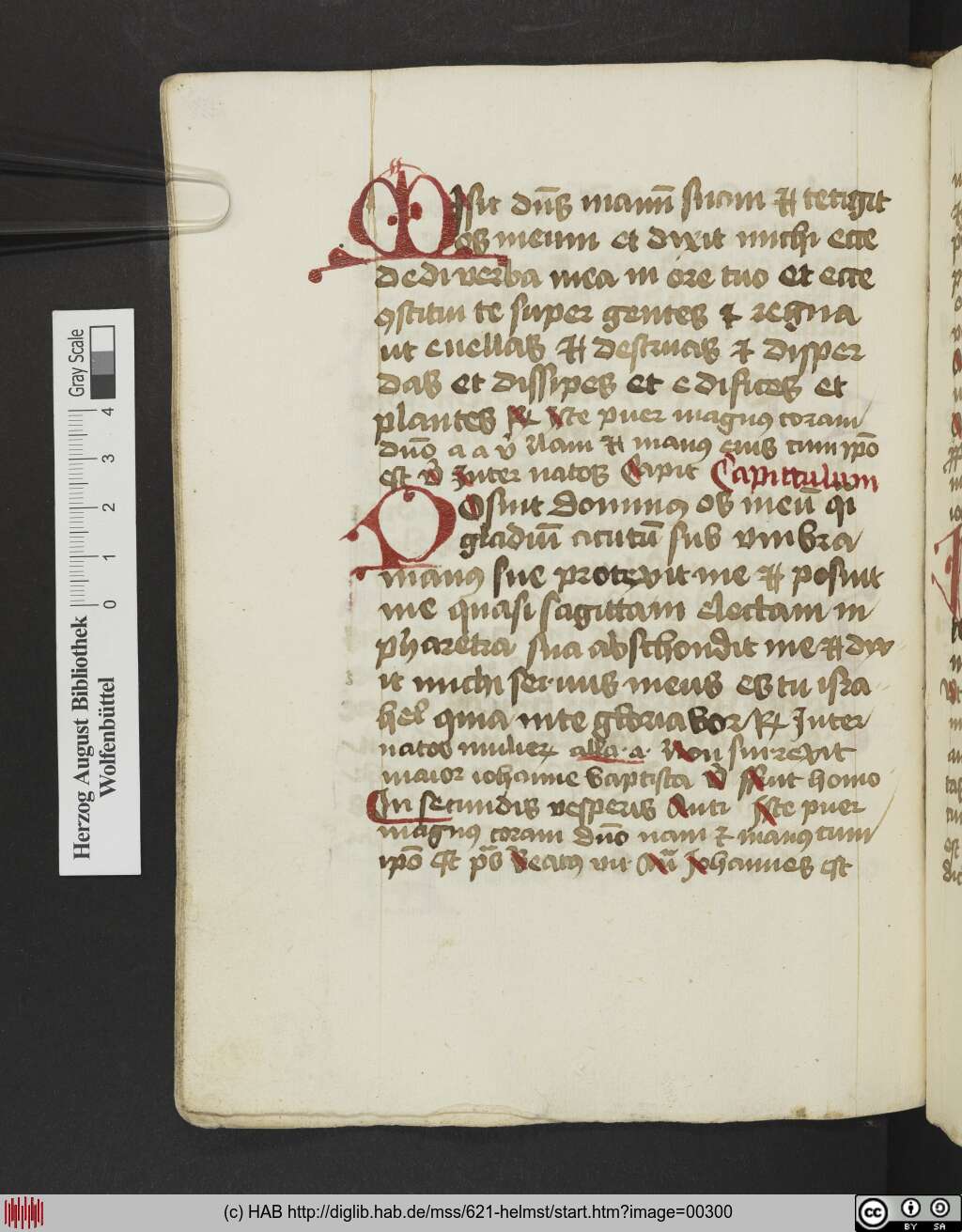 http://diglib.hab.de/mss/621-helmst/00300.jpg