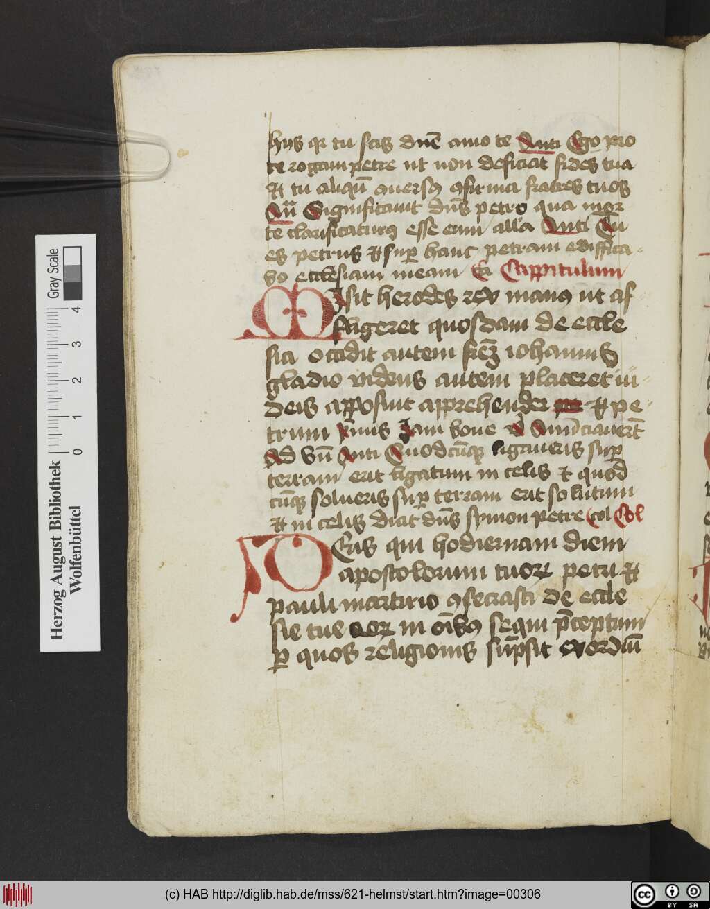 http://diglib.hab.de/mss/621-helmst/00306.jpg