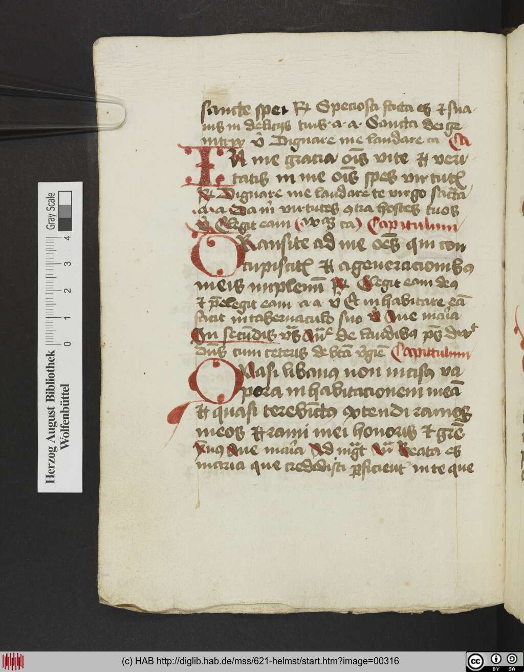 http://diglib.hab.de/mss/621-helmst/00316.jpg