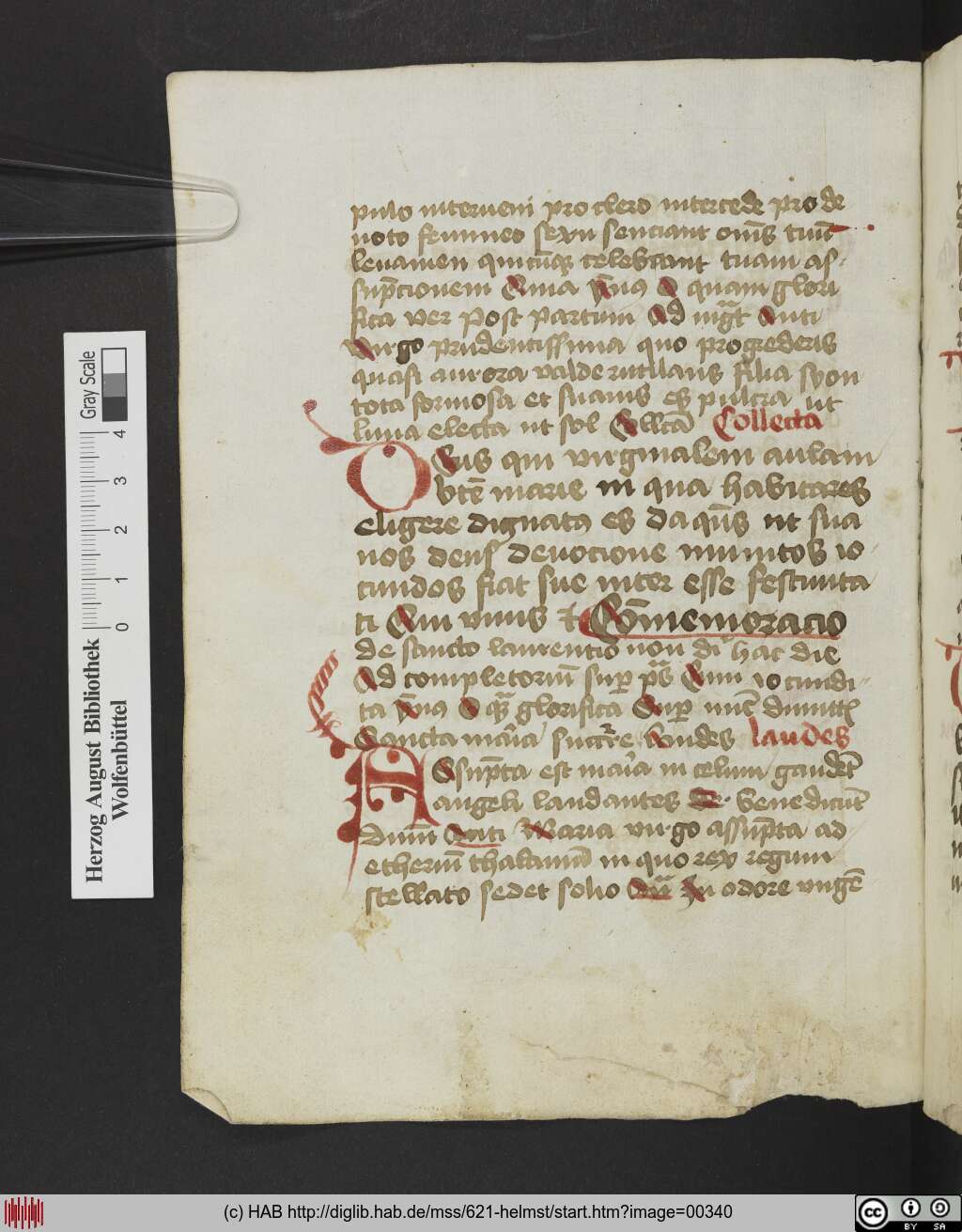 http://diglib.hab.de/mss/621-helmst/00340.jpg