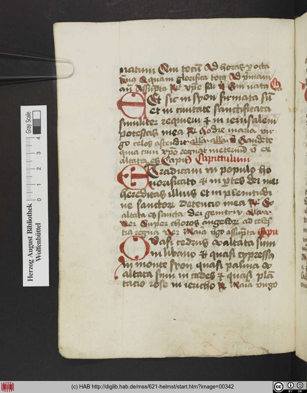 http://diglib.hab.de/mss/621-helmst/00342.jpg