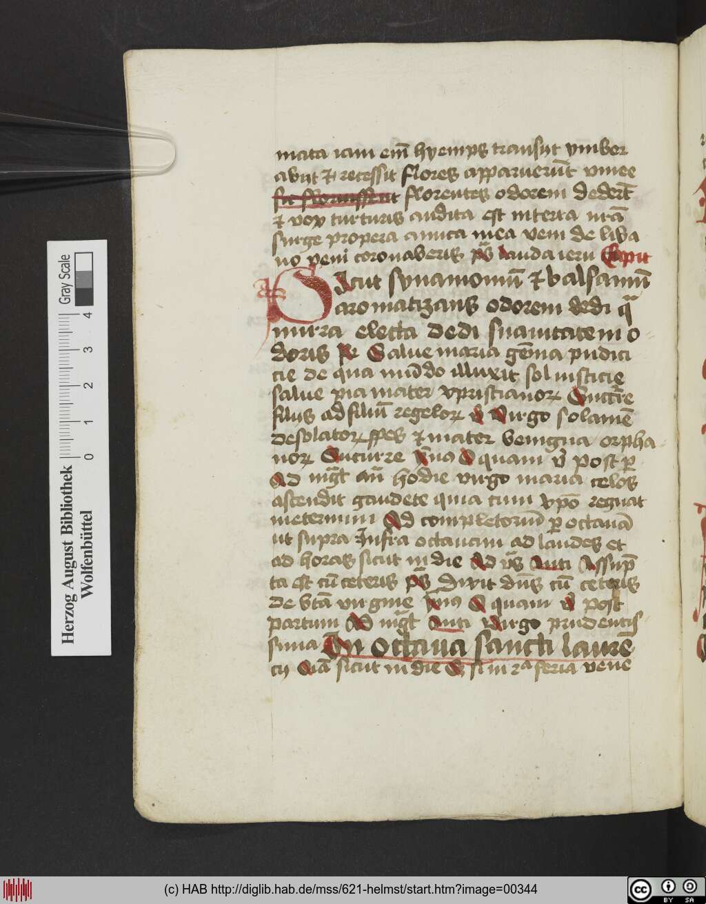 http://diglib.hab.de/mss/621-helmst/00344.jpg