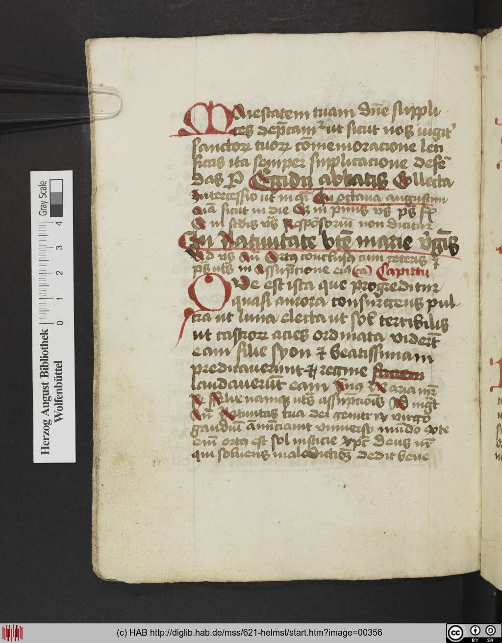 http://diglib.hab.de/mss/621-helmst/00356.jpg