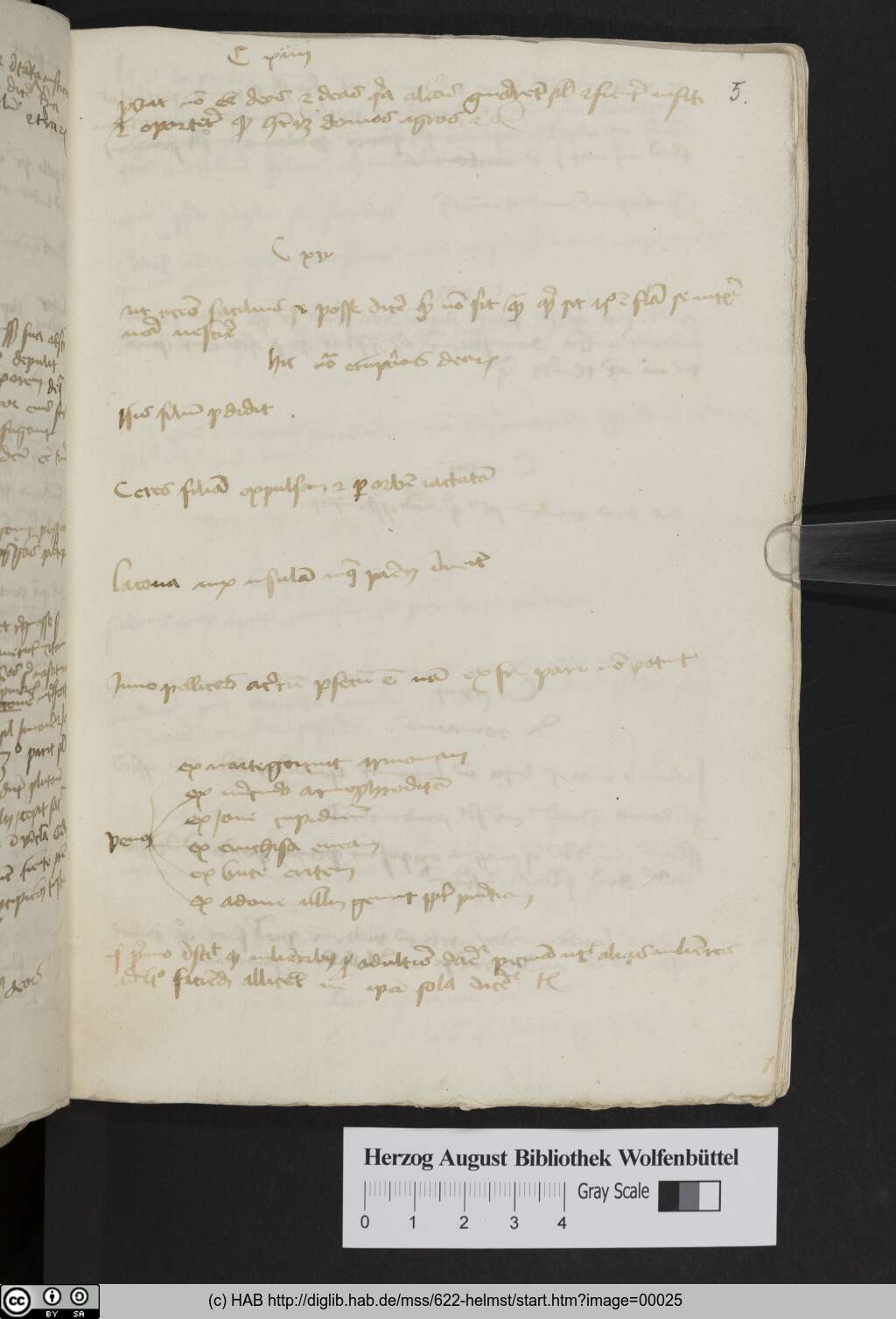 http://diglib.hab.de/mss/622-helmst/00025.jpg