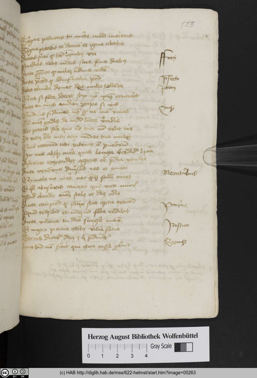 http://diglib.hab.de/mss/622-helmst/00263.jpg