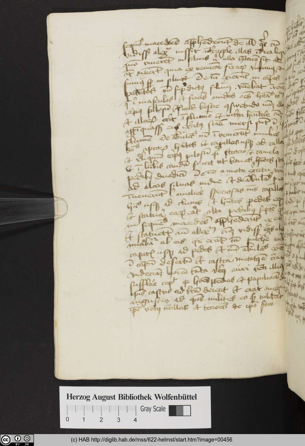 http://diglib.hab.de/mss/622-helmst/00456.jpg