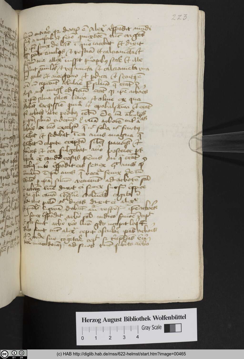 http://diglib.hab.de/mss/622-helmst/00465.jpg