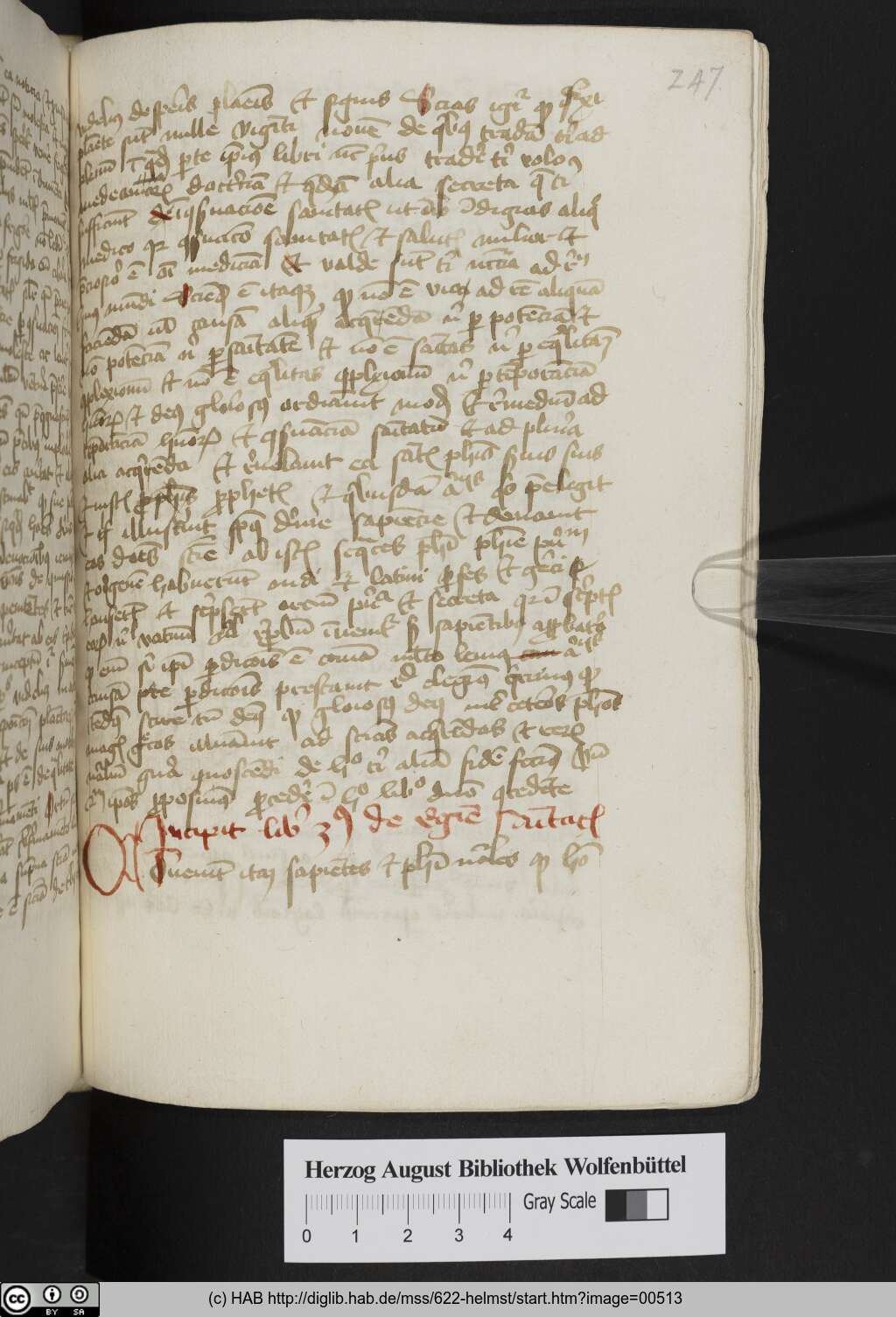 http://diglib.hab.de/mss/622-helmst/00513.jpg