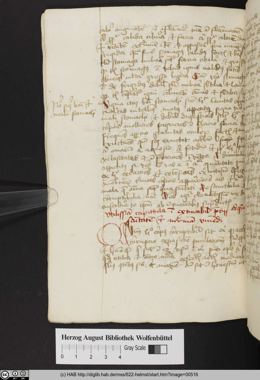 http://diglib.hab.de/mss/622-helmst/00516.jpg