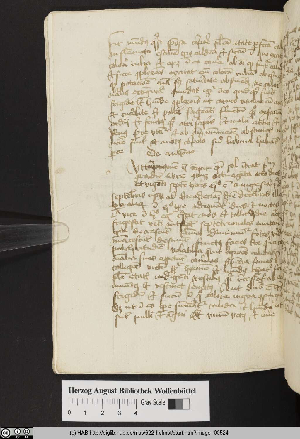 http://diglib.hab.de/mss/622-helmst/00524.jpg