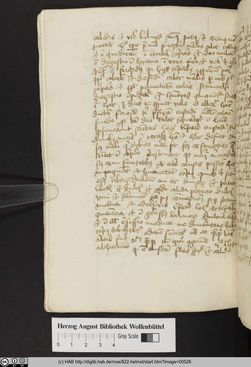 http://diglib.hab.de/mss/622-helmst/00526.jpg