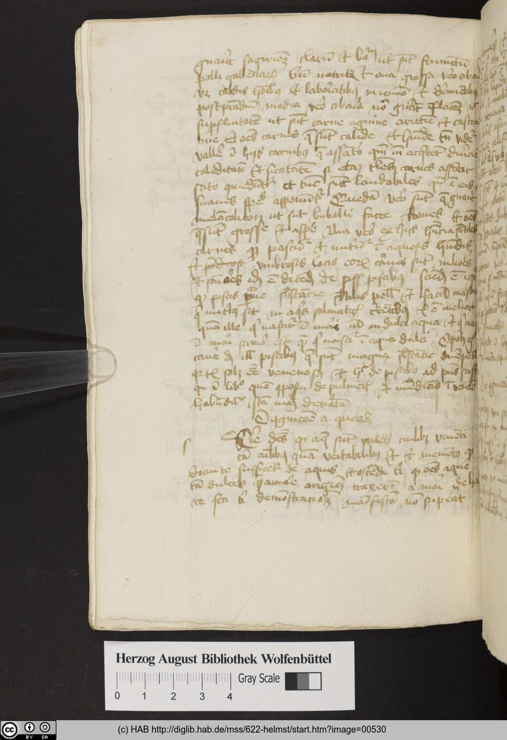 http://diglib.hab.de/mss/622-helmst/00530.jpg
